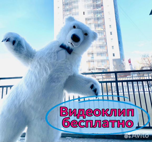 Белый мишка поздравление Ростовой медведь аниматор