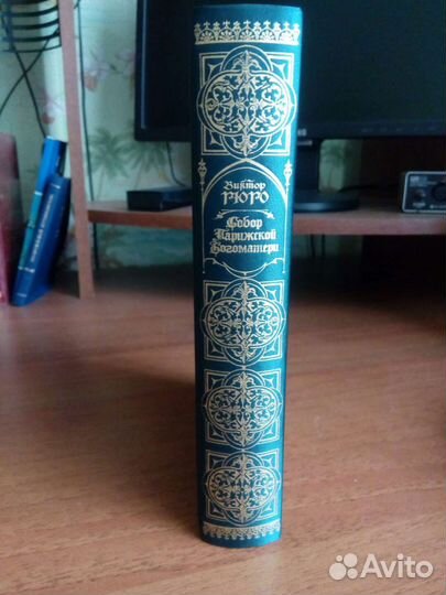 Собор парижской богоматери, Виктор Гюго