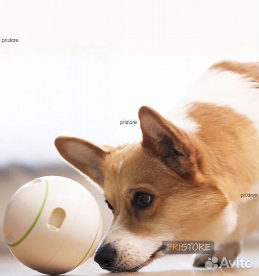 Мяч игрушка - кормушка для собак Xiaomi petgeek