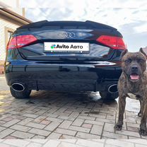Купить Audi 🚘 от 130 000 ₽ в Ульяновске: 936 объявлений
