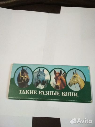 Такие разные кони