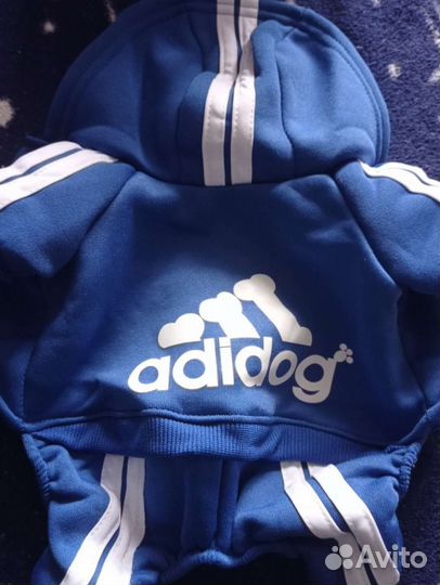 Одежда для собак