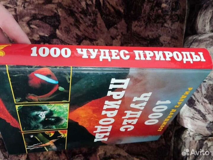 1000 чудес природы супер качество