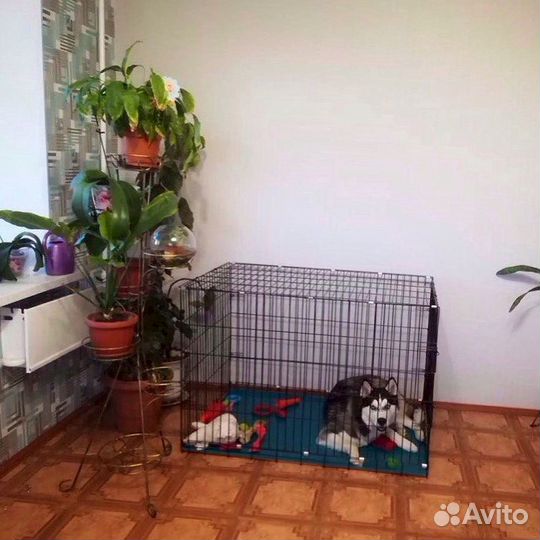 Клетка для собак