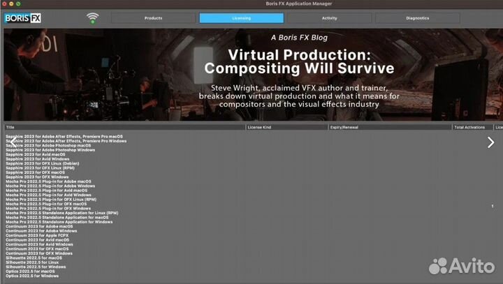 Boris FX лицензия год