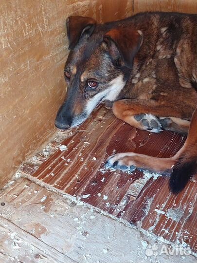 Магде нужна забота