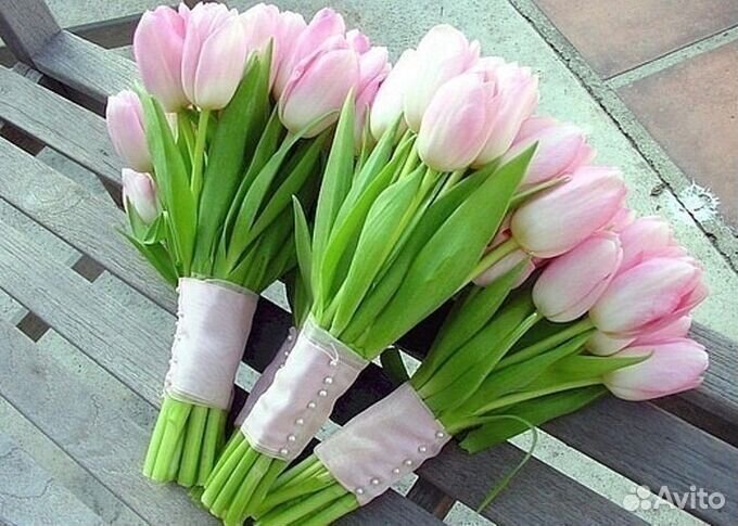Тюльпаны к 8 марта букеты