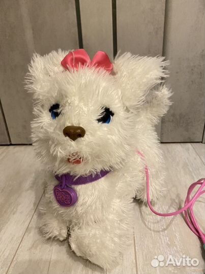 Интерактивная собака