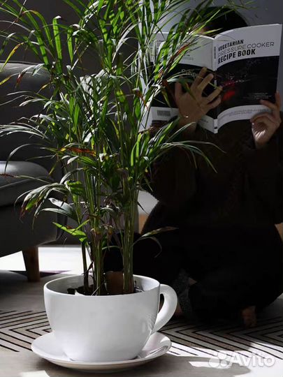 Кашпо чашка