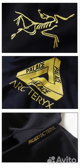 Толстовка Arcteryx x Palace