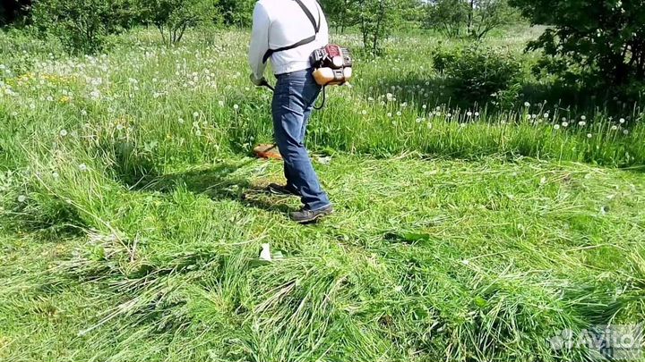 Расчистка участка от деревьев и кустарников