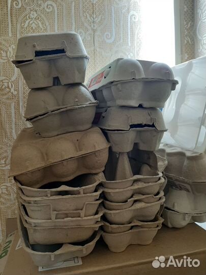 Контейнер для хранения яиц