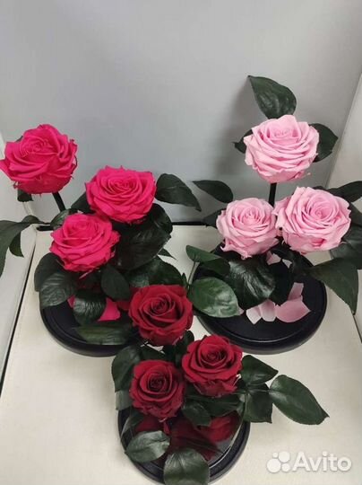 Роза в колбе оптом