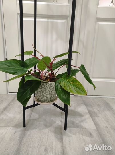 Подставка для цветов в стиле лофт