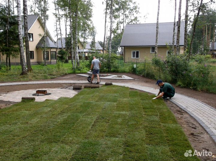Укладка и продажа газона от производителя