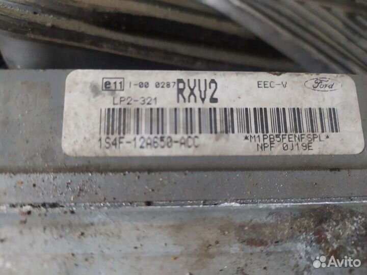 Мозги эбу Форд