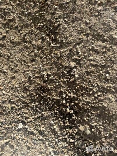 Плодородный грунт