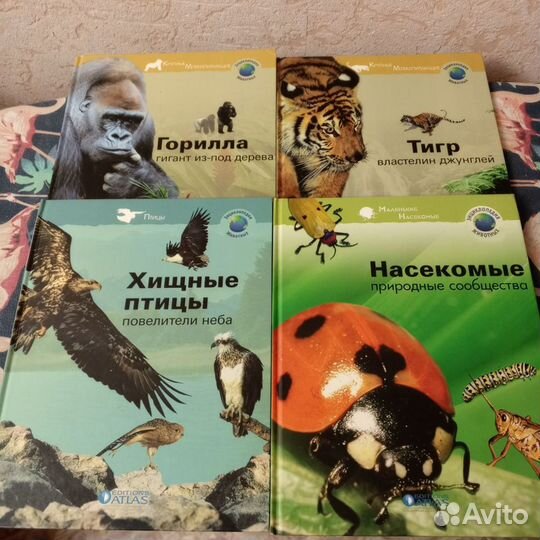 Книги учебники