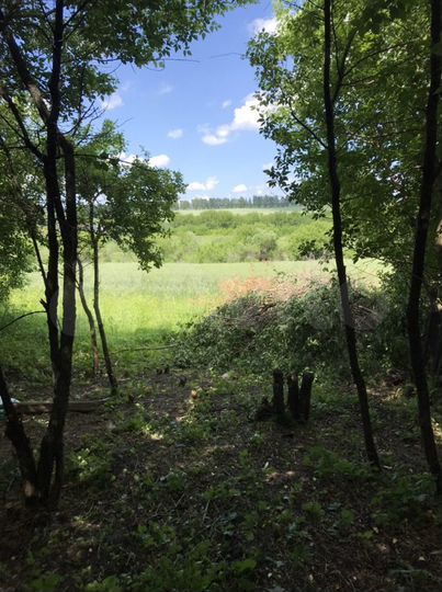 Участок 30 сот. (ИЖС)