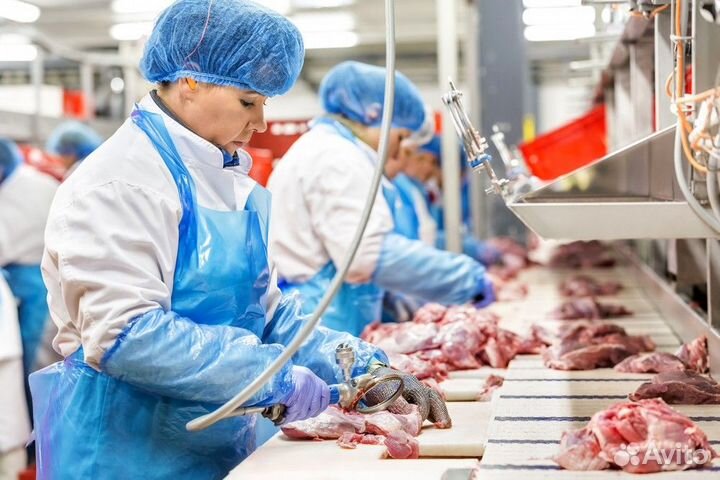 Вахта упаковщики на Птицефабрику Все включено