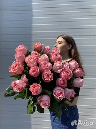 Роза Эквадор оптом