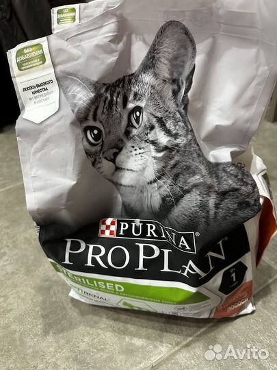 Все для ухода за кошкой