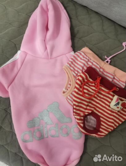 Одежда для собак