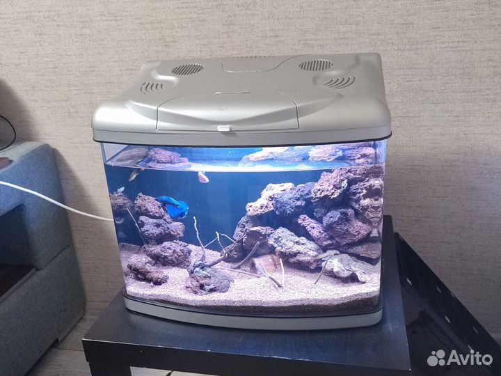 Аквариум 60л