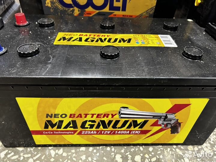Аккумуляторы Magnum 225А Доставка