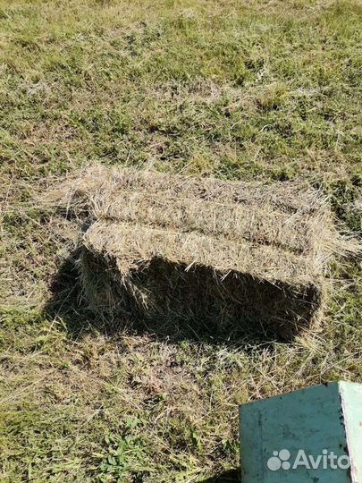 Сено в тюках