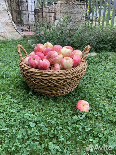 Корзина с ручками 12л