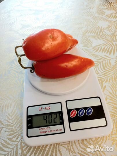 Семена томатов Минусинские перцевидные