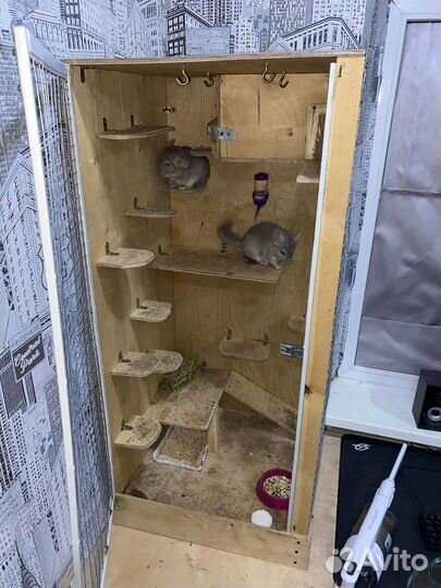 Шиншиллы и клетка для шиншилл бу