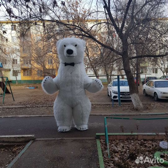 Белый Мишка поздравление