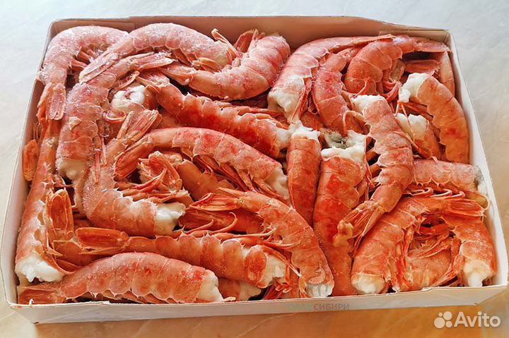 Креветки лангустины без головы