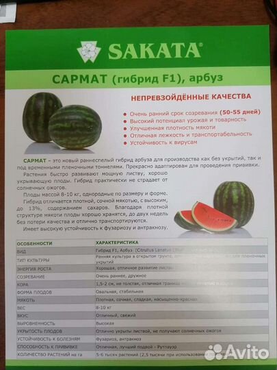 Семена Арбузов