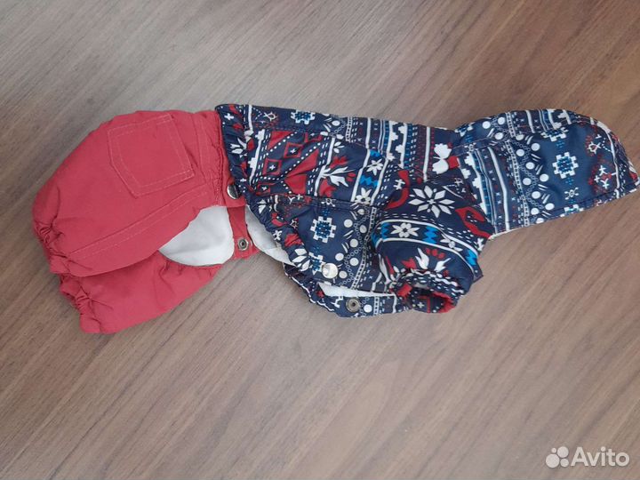 Комбинезон для мелких пород