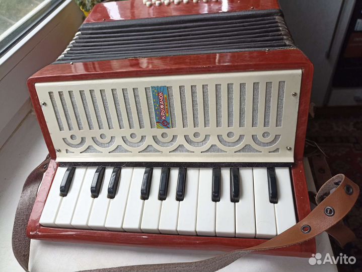 Аккордеон детский