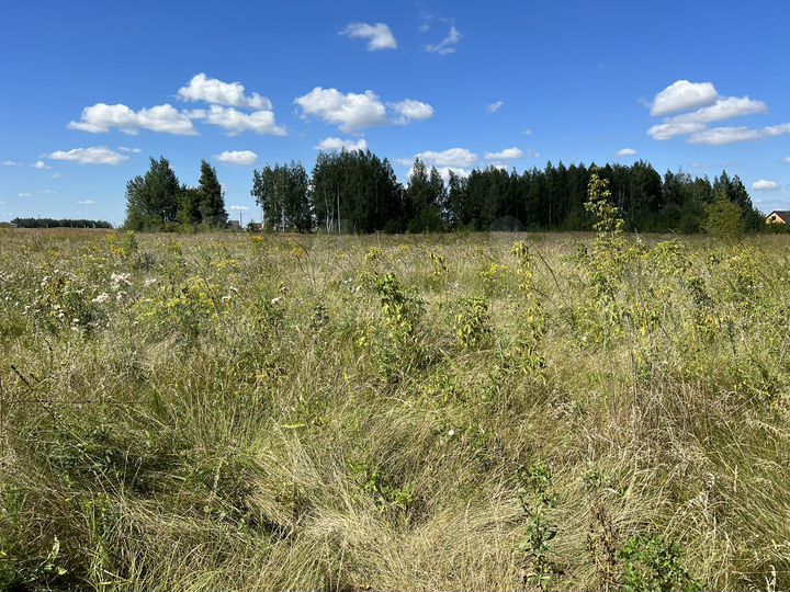 Участок 15 сот. (ИЖС)