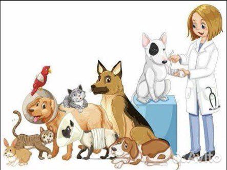 Стерилизация кошек и Кастрация котов