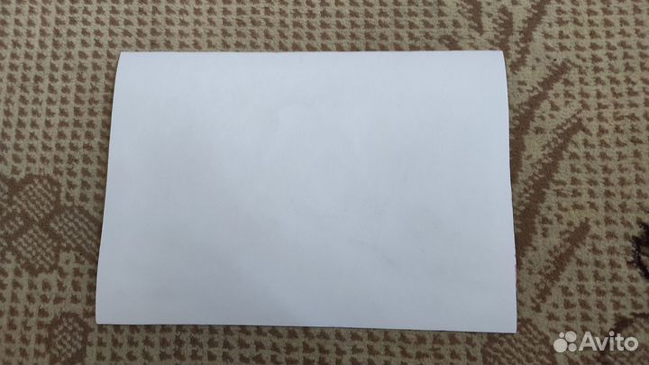 Рисунок акварель - райские яблоки