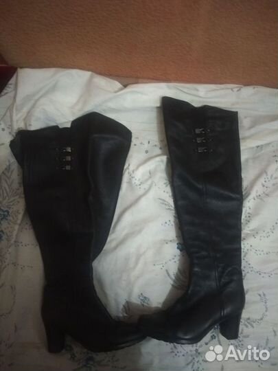 Женские сапоги ascalini