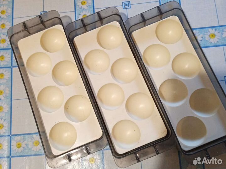 Подставка- органайзер для яиц