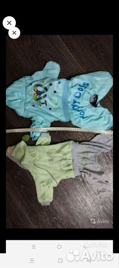 Одежда и аммуниция для собак мелких пород