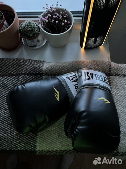 Боксерские перчатки 10 oz