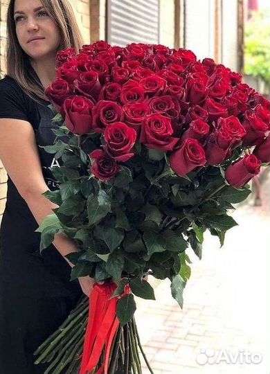 Розы Букеты Цветы Розы 31 101 151 201 Доставка