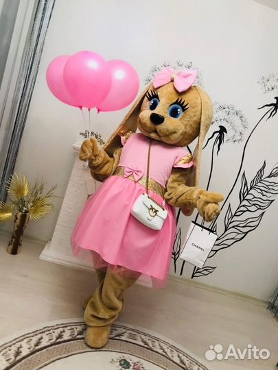 Мишка Тедди и Зайка Ники на праздник