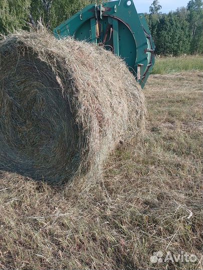 Сено.в рулонах