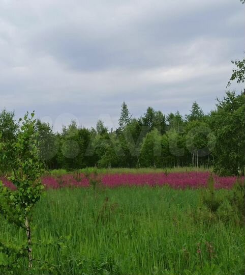Участок 6,45 га (СНТ, ДНП)