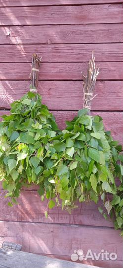 Веники березовые для бани